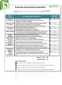 Sample Tool: Executive Sponsorship Assessment